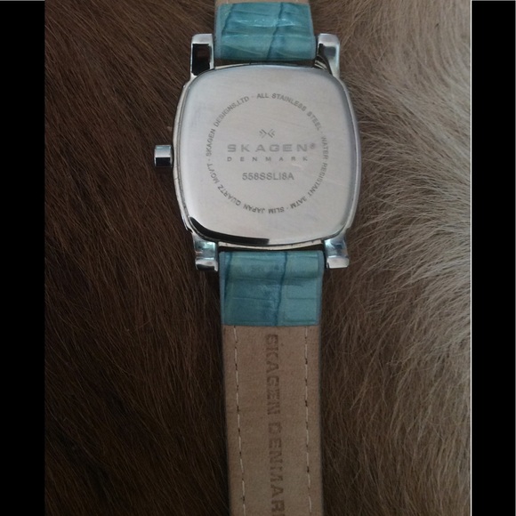Skagen Swarovski Cristal accent MOP Dial Watch